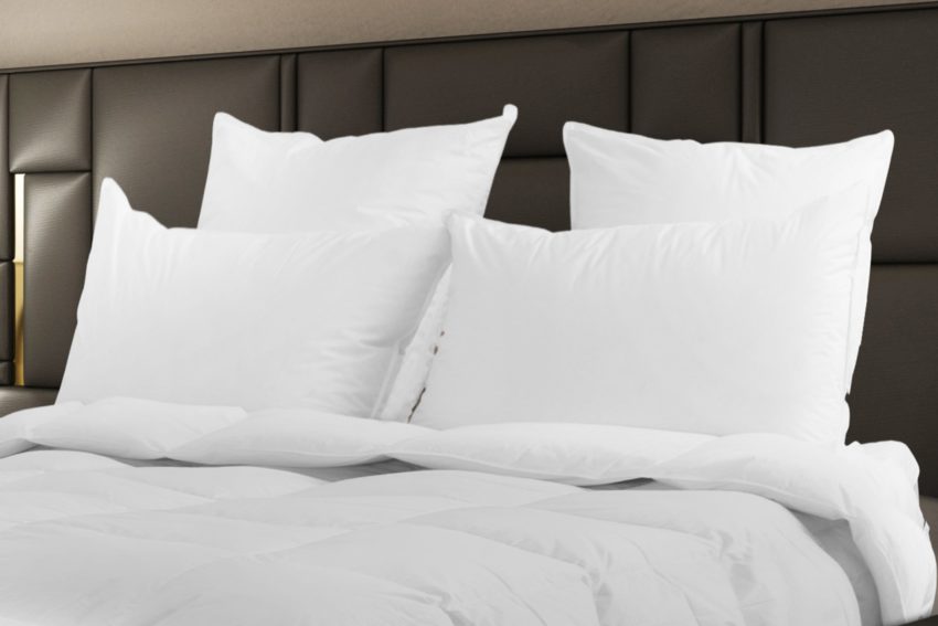 800 fill down pillow best sale